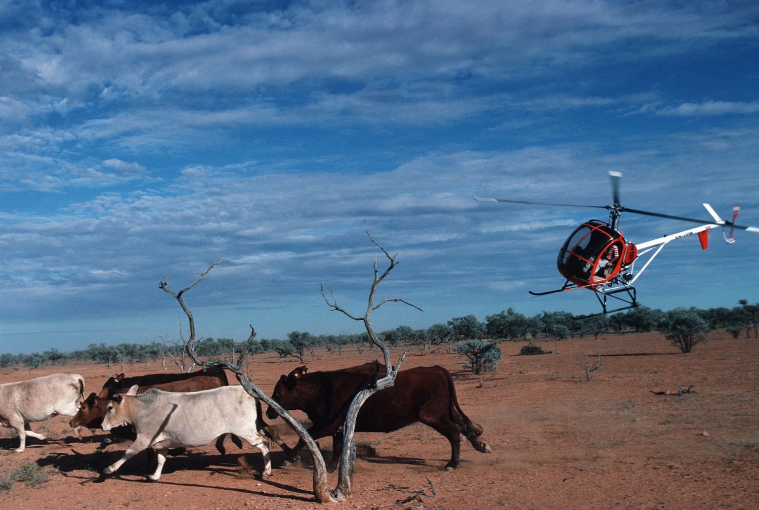 Australian Outback Farming